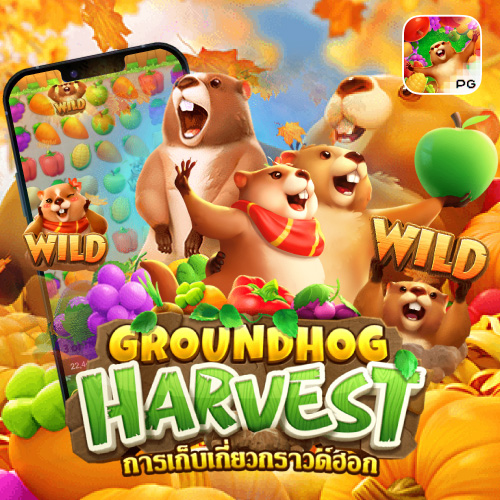 Groundhog Harvest Slotxorush